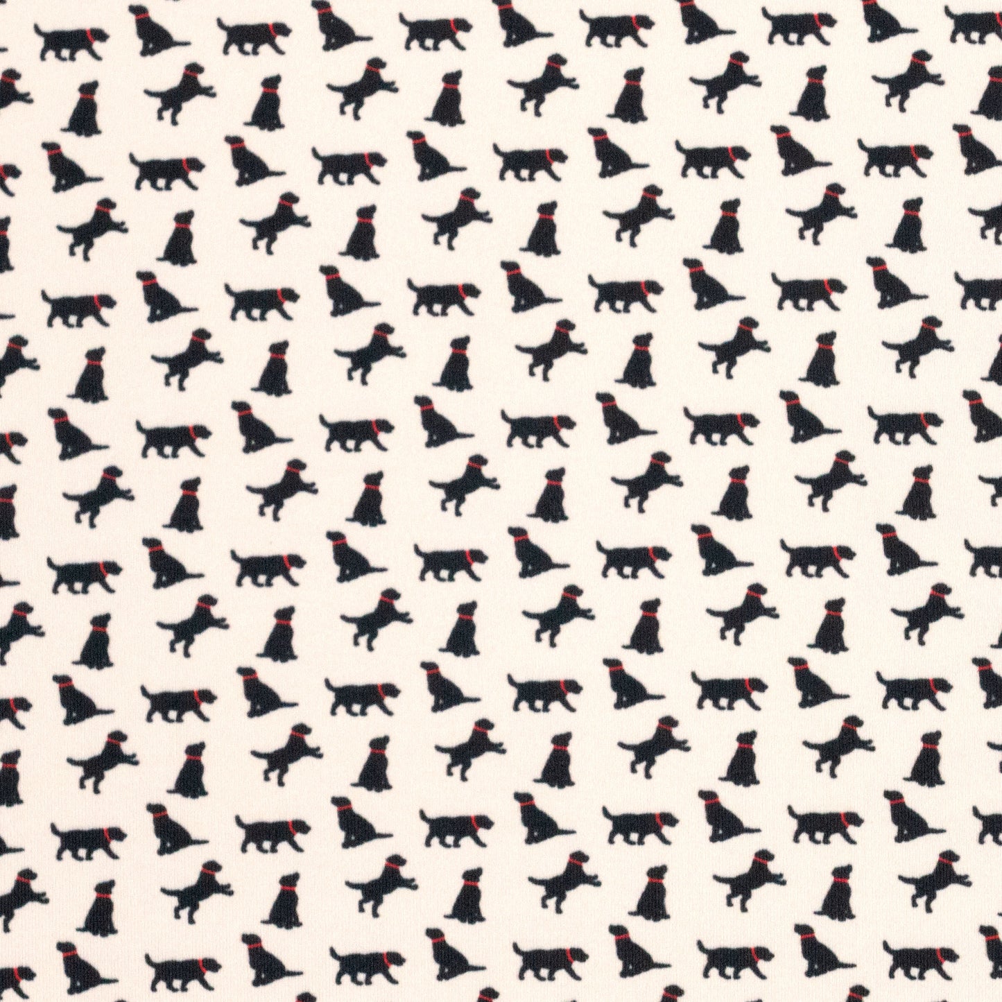 Albatross Polo - Sand Dollar Black Lab